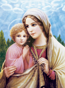 www.monfortanci.com