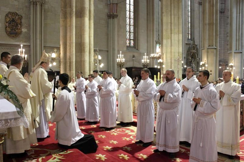 Misionari Monfortanci - Družba Marijina