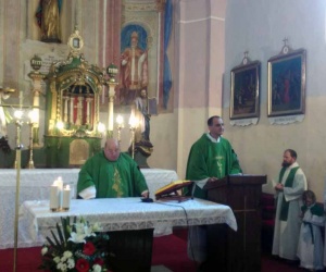 www.monfortanci.com