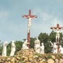 www.monfortanci.com