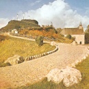 www.monfortanci.com
