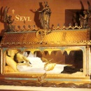 www.monfortanci.com