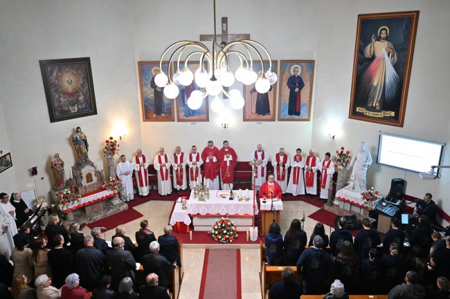 www.monfortanci.com